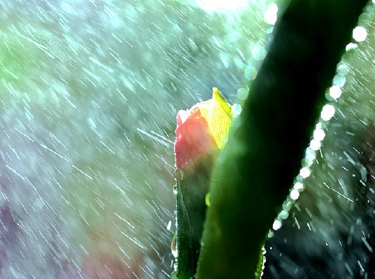 ���н���