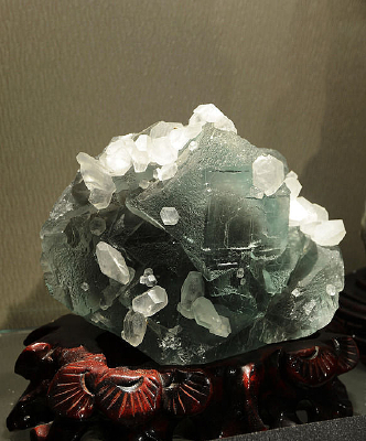 ���ʴ�ѧ���̵�