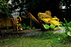 ���ݺ�ש����ɫ����