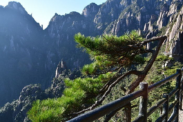 ����ɽ������