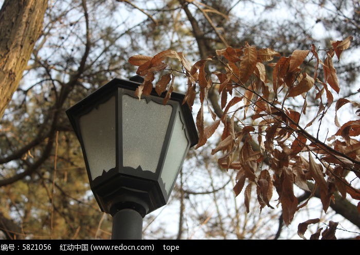 סլ���ĵ�ͼƬͼƬ