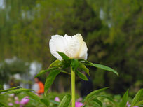 ���׵�ĵ����