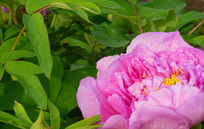 ����ĵ����