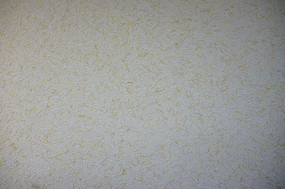 ����ǽ��·