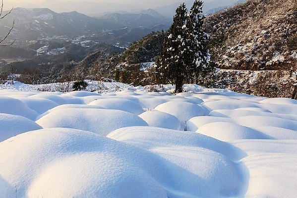 ��ɽ��ѩ��