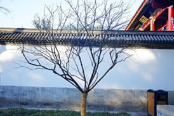 �Ž���ǰ��һ��С��