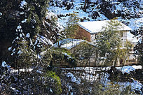 ����ѩѩ������