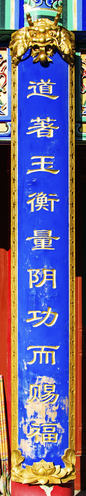 �������������������͸�