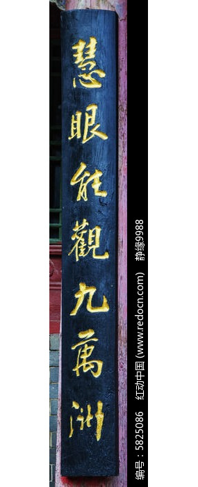 ǧɽ���Ƶ���������ܹ۾�����