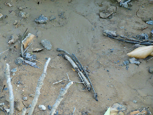 �ս�����