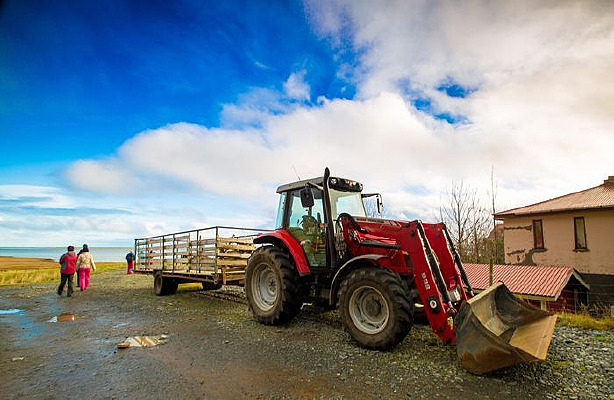 ���С���ϵ�������