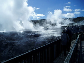 ��԰�Ĳ���