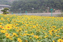 �����������տ�