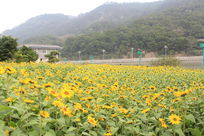 ���������տ�