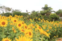 С·�ߵ����տ�