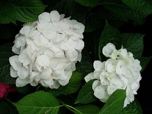 С���仨��