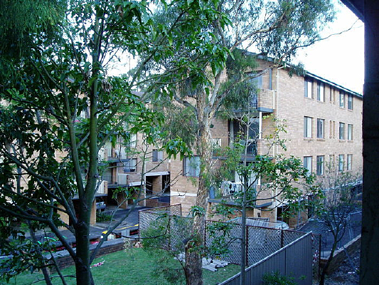 �����ĺ�ש¥