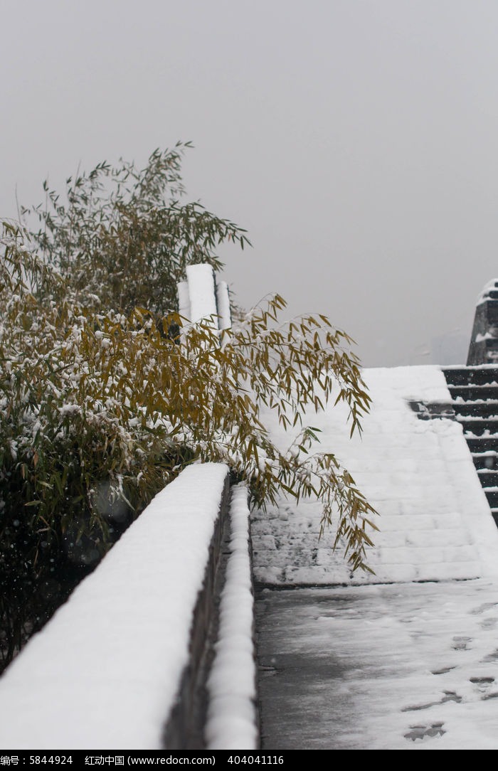 ��ǽ�ߵ�����ͼƬ