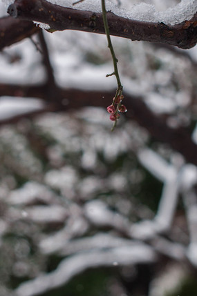 ���ҵĻ��Ƕ�