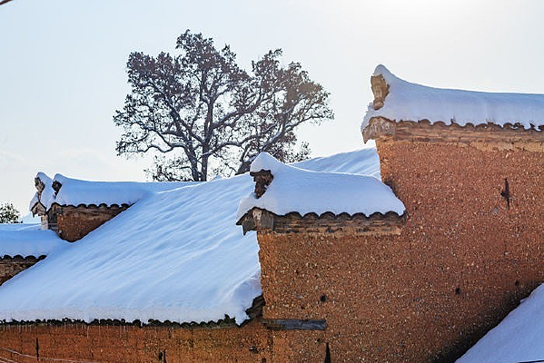 �װ׵ĵ�����������