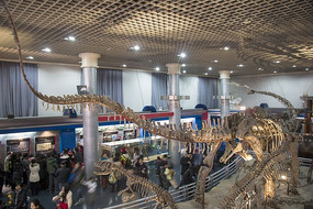 �����Ǽ�