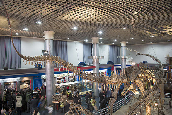 �����Ǽ�