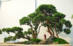 ������������辰