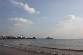 �����µĺ���ͼƬ