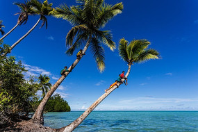 ���ϵĺ�����