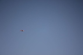 ����еķɻ�ͼƬ