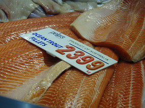 ���ʵ�������