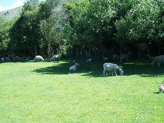 �������µ���