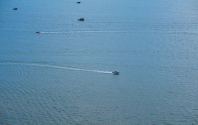 �����ĺ�