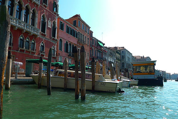 ����ǰ��ľ׮