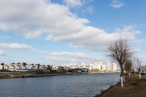 �����ı������