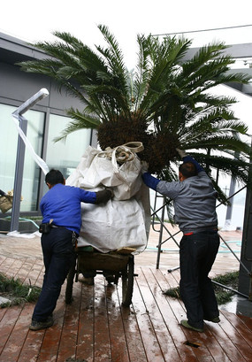 ������ľ�Ĺ���