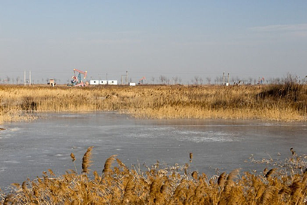 ����ĺ���