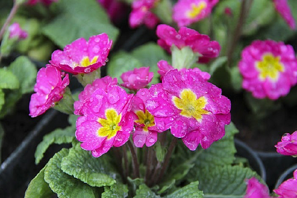 �������Ϻ�Ļ���