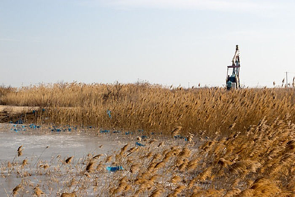 �����ߵ��;�