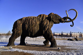 ����԰��Ĵ������