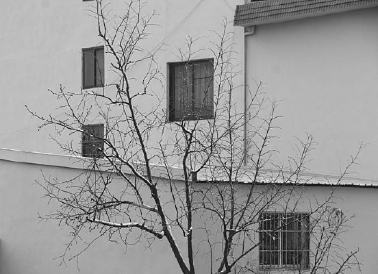 ���������˼�