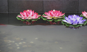 ˯��������