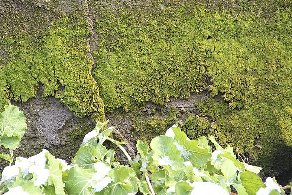 ̦޺����˵�