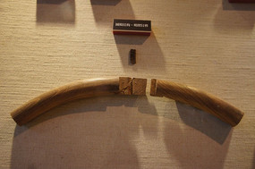 ԲνṹШ