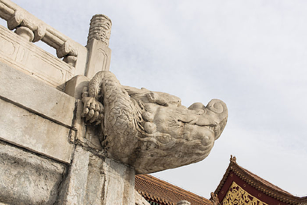 �ʹ���������