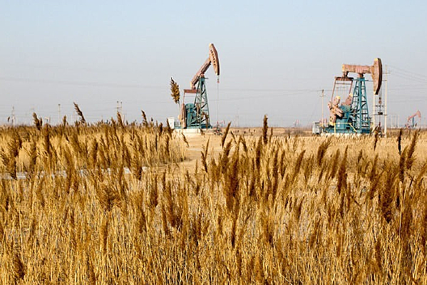 ��ԭ�ϵ��;�