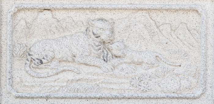 �ϻ�ĸ��ʯ��