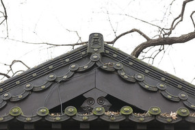 ��ʽ����