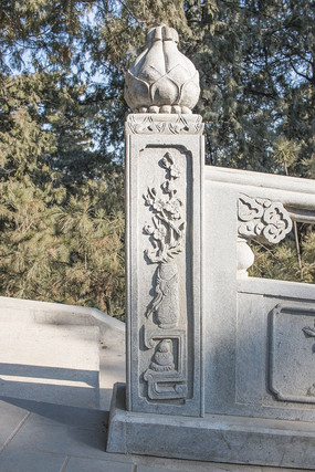 ÷����������