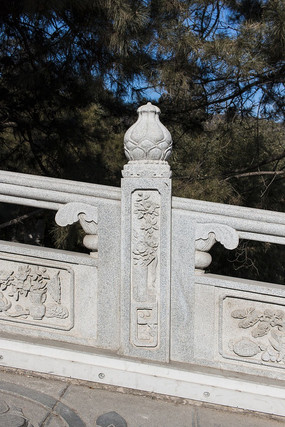 �ٺ���������